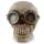 Figura Calavera Calavera Decorativa Estilo Steampunk con Gafas