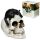 Figura Calavera Calavera Decorativa con Gato Negro