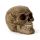 Calavera Decorativa Intricado Forma Damasco