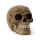 Calavera Decorativa Intricado Forma Damasco