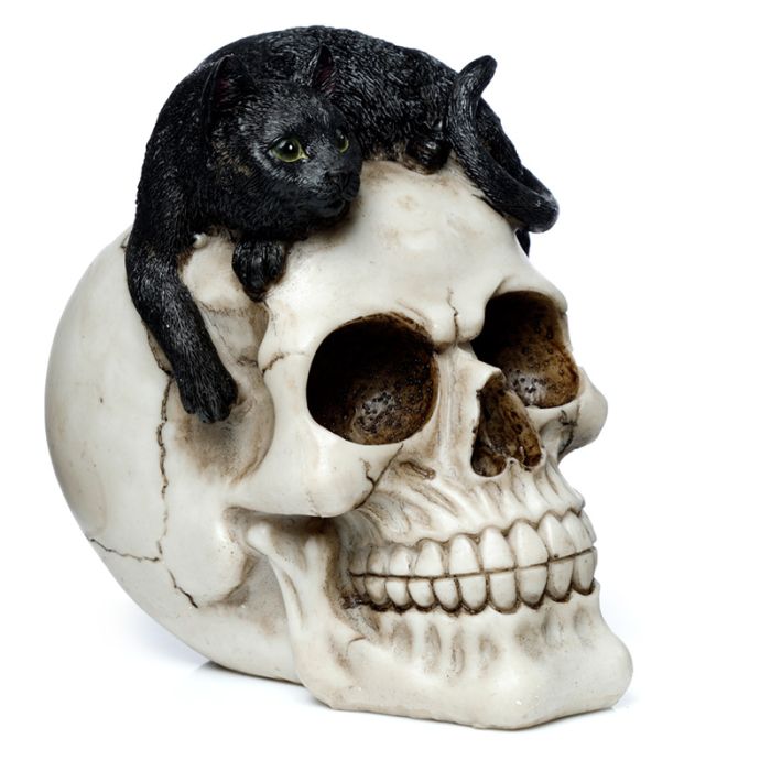 Figura Calavera Calavera Decorativa con Gato Negro