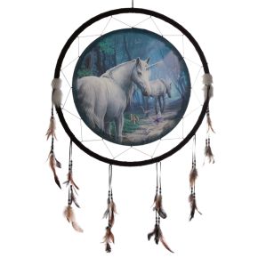 Atrapasueños Unicornio de Camino a Casa Lisa Parker 60cm Atrapasueños Unicornio de Camino a Casa Lisa Parker 60cm